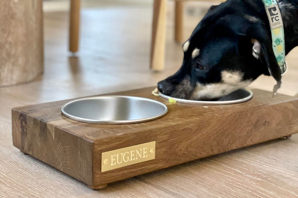 Kismet Dog Bowl with Athena Calderone The Wooden Palate