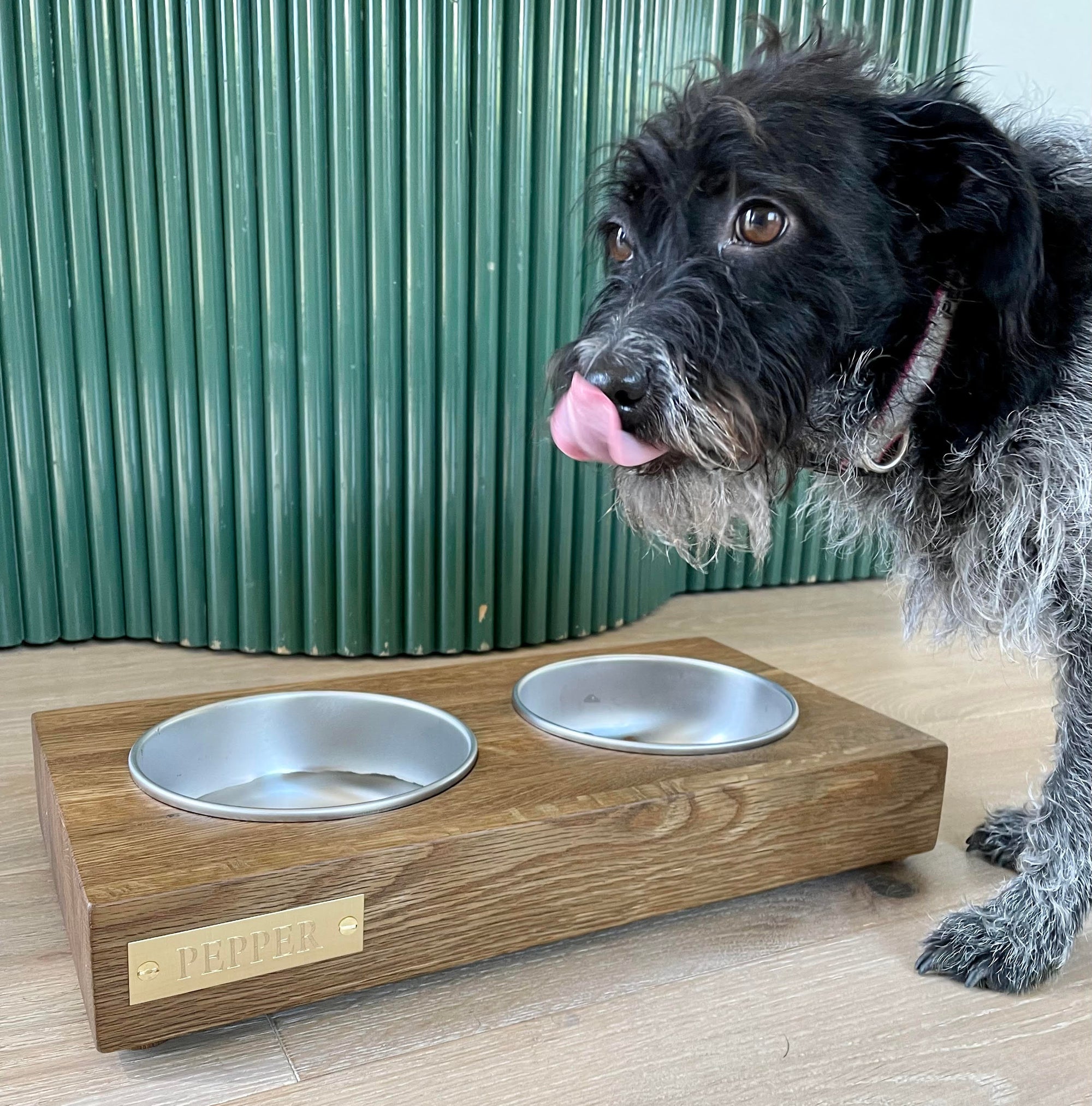 Kismet Dog Bowl with Athena Calderone